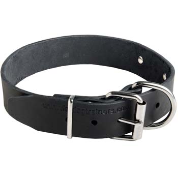 Name Mastino Napoletano collar with tag