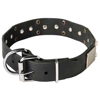 Great Mastino Napoletano collar for beloved pet