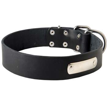 Custom leather dog collar for Mastino Napoletanos