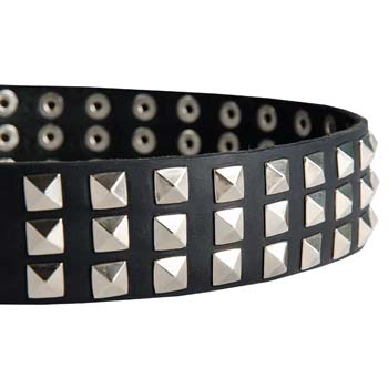 Nickel plated pyramids of fashion leather Cane Corso collar