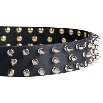Nickel plated spikes of leather Cane Corso collar