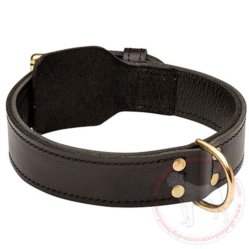 Pit Bull Gear™ Custom Leather Dog Collars & Harnesses, USA