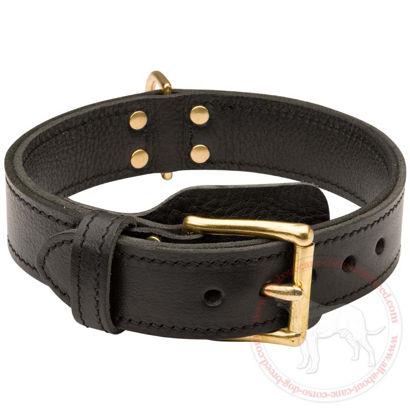 Gorgeous Wide Leather Dog Collar for Strong Pitbull dogs ...