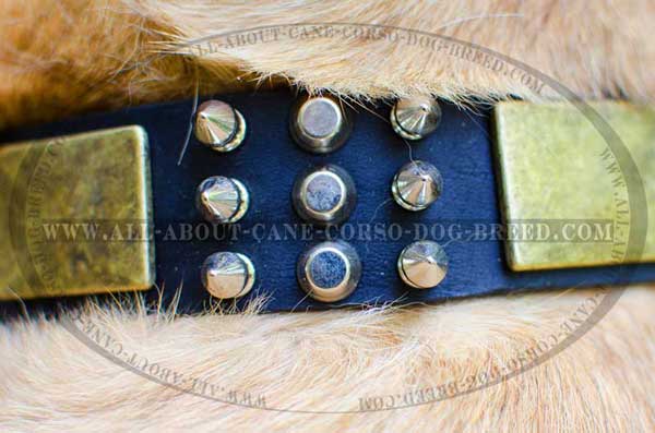 Vintage Brass Plates Combined with Spikes and Studs Look Amazing