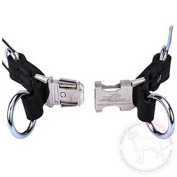 Quick release buckle of Cane Corso pinch collar