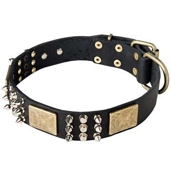 Studded/Spiked dog collar for Cane Corso breed