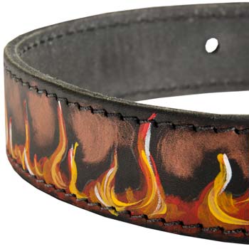 Unique Cane Corso training dog collar