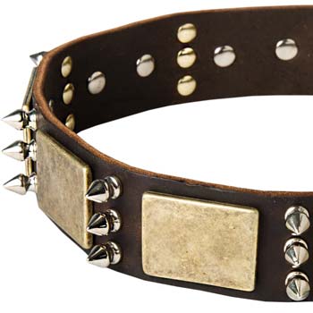 Unique dog collar with combination of brass and nickel  adornment