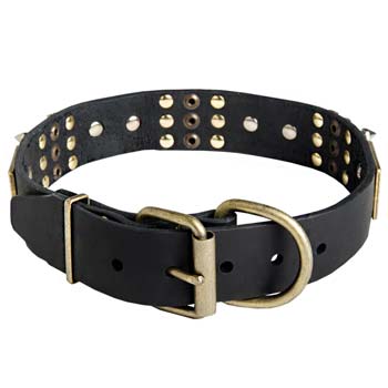 Vintage Cane Corso dog collar with brass fittings