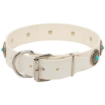 Leather Cane Corso Collar with Rust Resistant Hardware