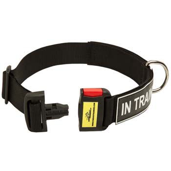 Adjustable Dog Collar with Quick release buckleg