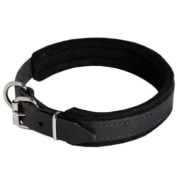 Cane Corso leather dog collar fully padded narrow