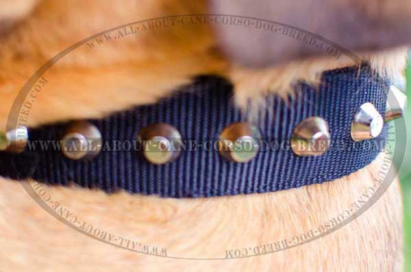 Nylon cones beautified dog collar 