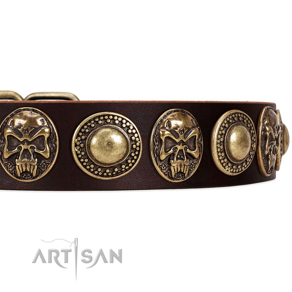 Full grain genuine leather dog collar with studs for everyday use