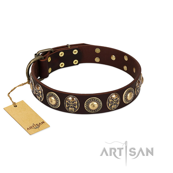 Unusual leather dog collar for daily walking