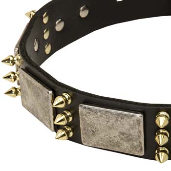 Big Dogs War Collar with Plates and Brass Spikes