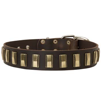 Fashion Dog Collar for Large Dogs like Cane Corso