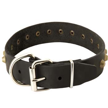Cane Corso Dog Collar with Steel Nickel Plated Buckle and D-ring for Leash