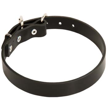 Cane Corso dog soft collar made of leather