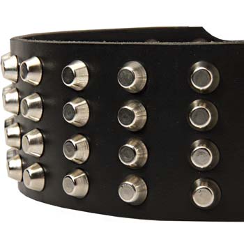 Cane Corso leather dog collar decorated with 4 rows of studs