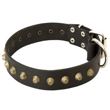 Cane Corso leather collar with pyramids