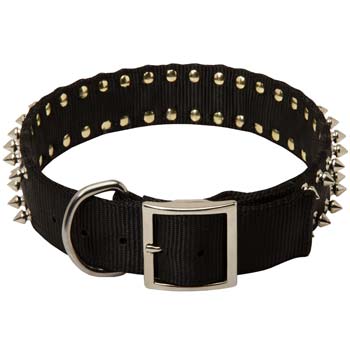 Cane Corso breed nylon spiked dog collar