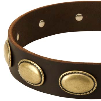 Polished Cane Corso leather vintage collar