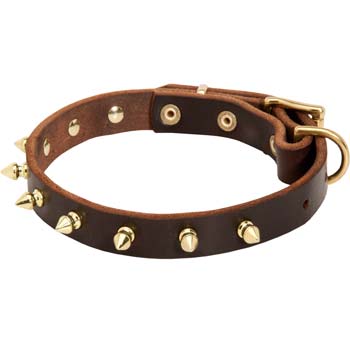 Golden spikes leather collar for Cane Corso