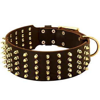 Cane Corso wide spiked leather collar