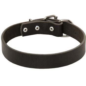 Classic Dog Collar