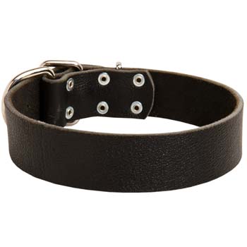 Classic Wide Dog Collar