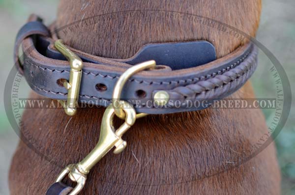 One-Of-A-Kind Leather Dog Collar