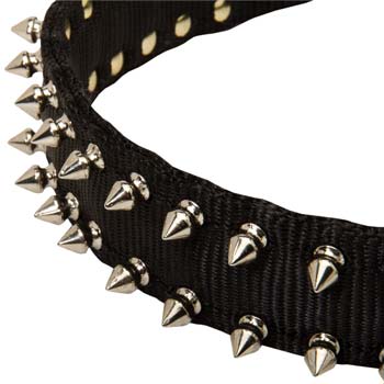 Cane Corso nylon dog collar with 2 rows of spikes