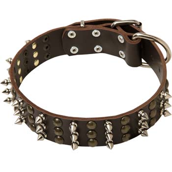 Cane Corso collar with three rows of studs and spikes
