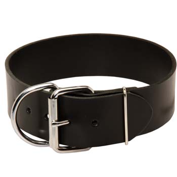 Smooth Collar with Steel Nickel Plated Buckle 