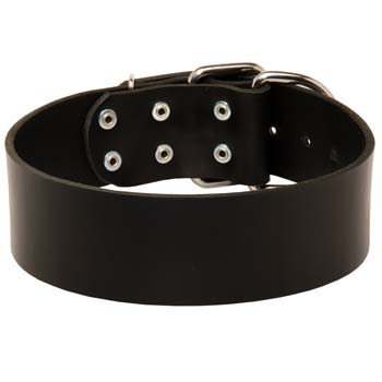 Cane Corso leather wide collar