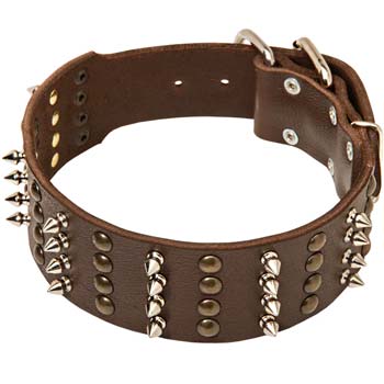 Cane Corso leather dog collar with 4 rows of decoration