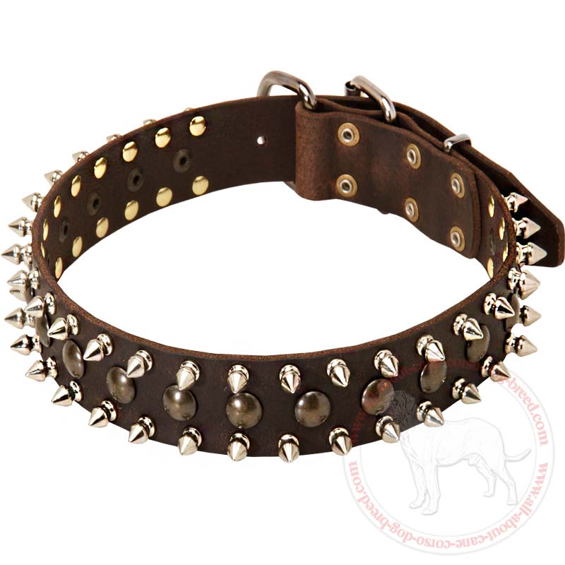 Get Spiked and Studded Leather Cane Corso Collar | Walking ...