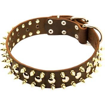 Cane Corso Fashion leather Spiked dog collar with fancy adornment