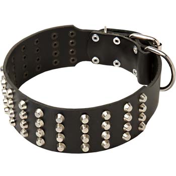Cane Corso Breed Leather Wide Dog Collar with Nickel Studs and D-ring