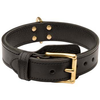 Newest leather dog collar with improved design