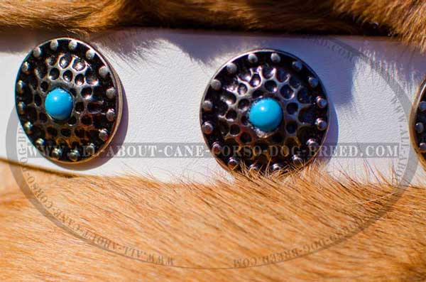 Awesome conchos against white leather background