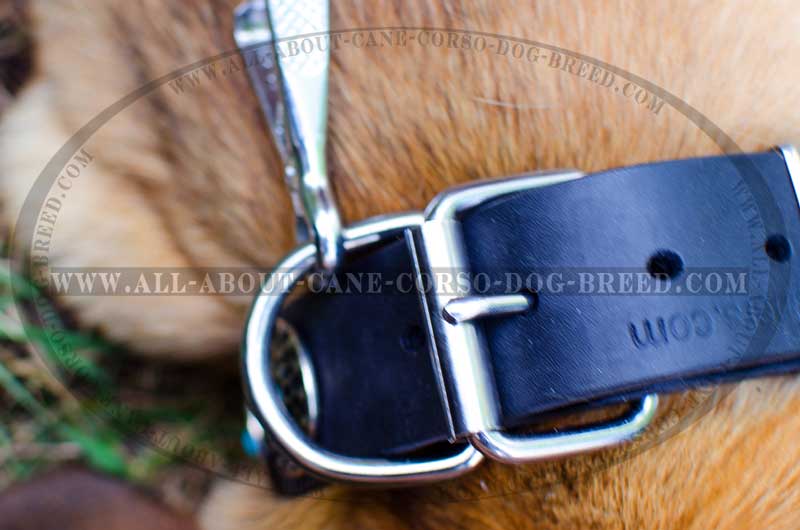 Get Leather Dog Collar, Blue Decorative Stones