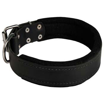 leather dog collar for walking dogs  