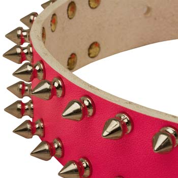 Leather Dog Collar Pink with 2 Rows of Spikes for Cane Corso