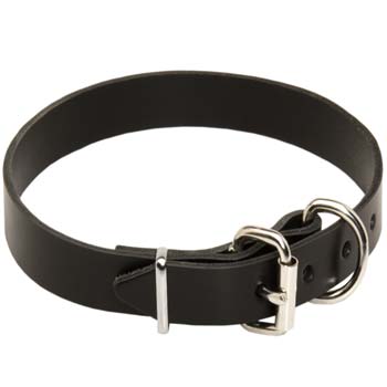Cane Corso leather collar with buckle-like closure