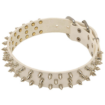 Leather Cane Corso collar with 2 rows of spikes