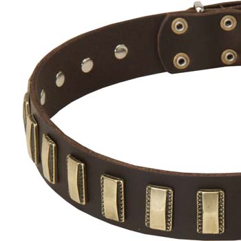 Collar with Steel brass plated hardware