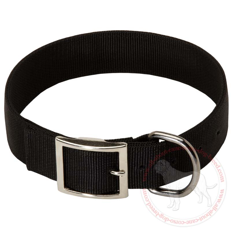 simple dog collar