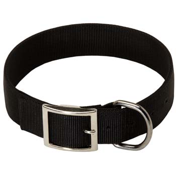 Cane Corso nylon collar